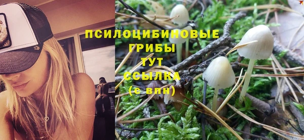 хмурый Белоозёрский