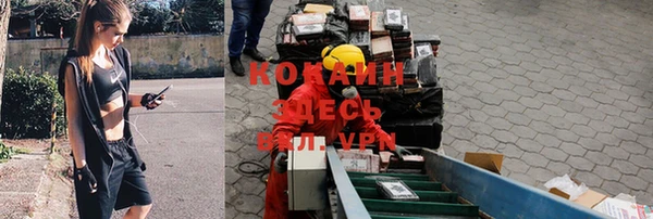 СК Беломорск